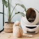 AutoPets Litter-Robot 3 Connect | $499 | Litterbox.com